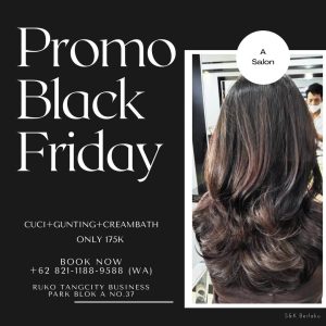 promo black friday